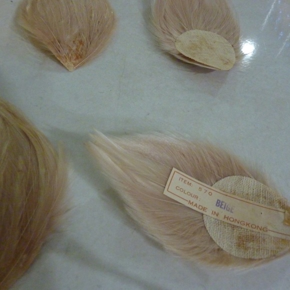 HONG KONG Vintage FEATHER BIRDS  BEIGE  LOT OF 6  For Crafting Etc - Picture 6 of 6